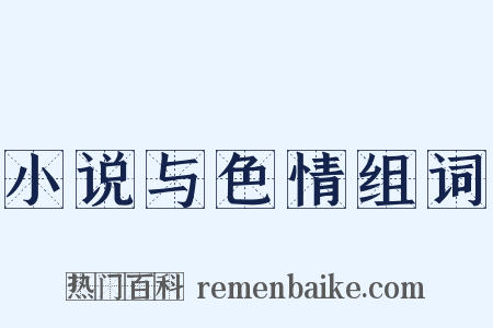 小说与色情组词是什么意思的图片